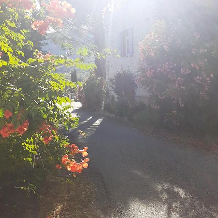 Alma Bella Panzió Le Pegue Kültér fotó